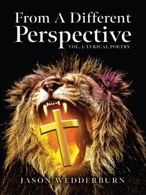 cover image of From a Different Perspective, Volume 1